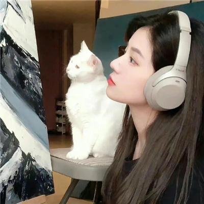 迷失真相